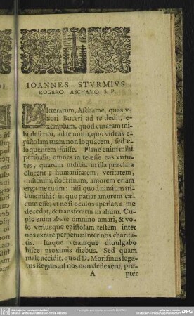 Ioannes Sturmius Rogero Aschamo. S. P.