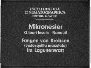 Mikronesier (Gilbert-Inseln, Nonouti) - Fangen von Krebsen (Lysiosquilla maculata) im Lagunenwatt