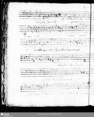 111 Anonymus: Factum est silentium in caelo