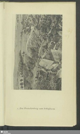 Der Protschenberg vom Schloßturm