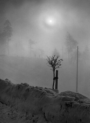 Andreasberg im Harz. Winter. Verschneite Landschaft im Frühnebel. Er hat es schwer bei dem Wetter