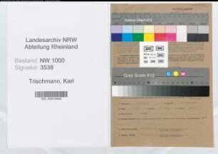 Entnazifizierung Karl Trischmann, geb. 26.10.1893 (Steueramtmann)