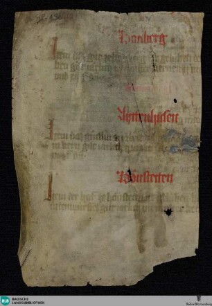 Lagerbuch, Cod. Fragment - St. Peter perg. 130