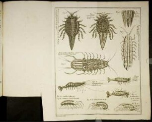 Fig. I. [bis] Fig. 5 Fig. A [bis] Fig. F.