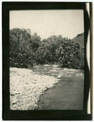 im wadi schu'eb [wadi schueb]