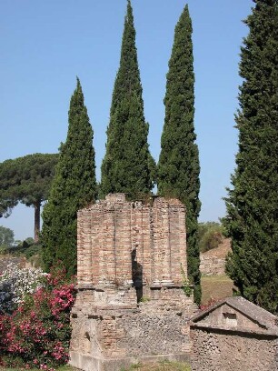 Pompej - Zypressen : Aufgenommen am 21. Juli 2004 in den Ausgrabungsstätten der römischen Siedlung Pompeji