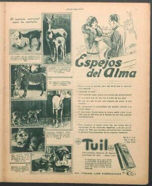 El instinto maternal entre los animales [Fotografías]
