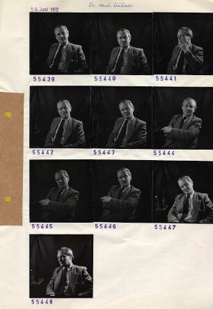Portraitserie Göllner
