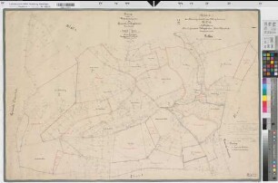 Löllinghausen (Meschede), Rentengutsache Löllinghausen, Bl. 1 Urkarte I Flur 2