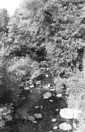 Mittelherwigsdorf-Scheibe. Landwasser bei der ehem. Felsenmühle