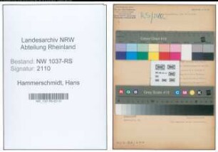 Entnazifizierung Hans Hammerschmidt , geb. 27.10.1900 (Angestellter)