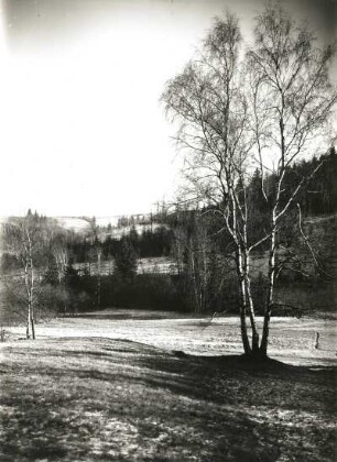 Osterzgebirge. Mordgrund (Bahratal) oberhalb Oelsen-Bienhof. Blick von Westen über das Tal