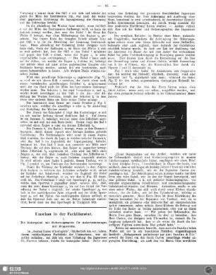 Umschau in der Fachliteratur
