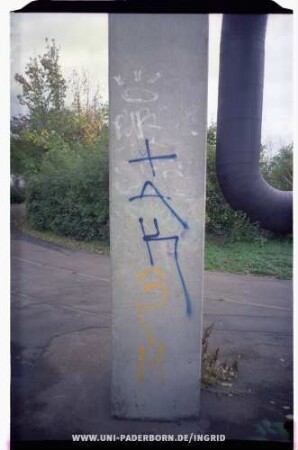 tAK