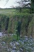 Heide (Kreis Dithmarschen): Grenzstein WS zwischen Heide und Weddingstedt