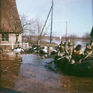 Sturmflut Hamburg 1962. Soldaten der Bundeswehr kommen auf überfluteter Straße im Schlauchboot zur Hilfe