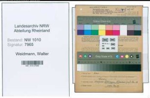 Entnazifizierung Walter Weidmann , geb. 04.07.1904 (Ingenieur)