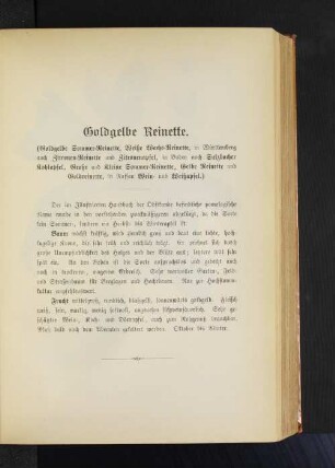 Goldgelbe Reinette. (Goldgelbe Sommer-Reinette, Weiße Wachs-Reinette, in Wüttemberg auch Zitronen-Reinette und Zitronenapfel, in Baden noch Sulzbacher Kohlapfel, Große und kleine Sommer-Reinette, Gelbe Reinette und Goldreinette, in Nassau Wein- und Weißapfel.)