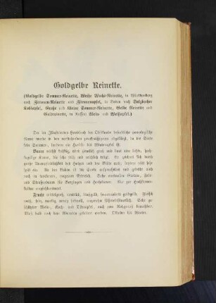 Goldgelbe Reinette. (Goldgelbe Sommer-Reinette, Weiße Wachs-Reinette, in Wüttemberg auch Zitronen-Reinette und Zitronenapfel, in Baden noch Sulzbacher Kohlapfel, Große und kleine Sommer-Reinette, Gelbe Reinette und Goldreinette, in Nassau Wein- und Weißapfel.)