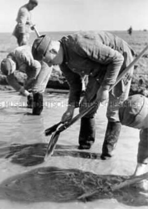 Arbeitsmänner des Reichsarbeitsdienstes auf der Hallig Hooge beim Reinigen ihrer Arbeitsgeräte