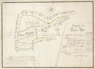 Geometrischer Plan über den Batzen-Wald