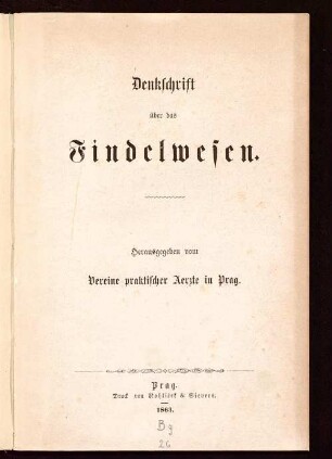 Denkschrift über das Findelwesen
