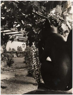 Garten Dr. Tomalla: Eichhörnchen