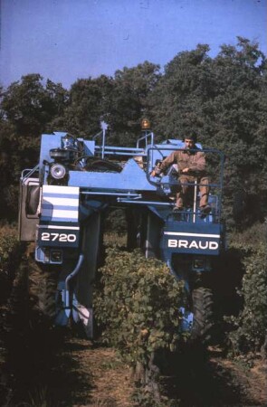 Fotografie: Weinbau, Trägerfahrzeug, Erntetechnik