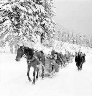 Pferdeschlittenfahrt bei Zakopane in der DDR-Wintertourismusregion Hohe Tatra (Karpaten) in Polen