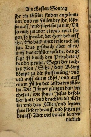 Kurtze Außlegung der Evangelien