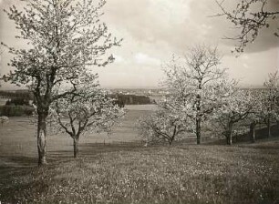 Voitersreuth südöstlich Asch. Blick von Schönberg in Sachsen nach Süden
