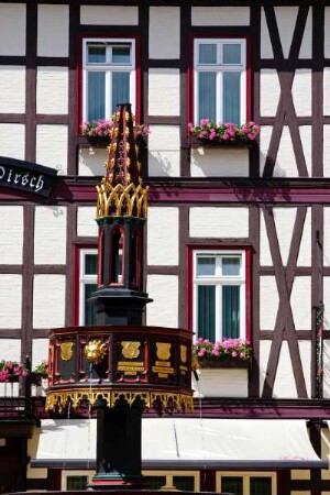 Deutschland. Sachsen Anhalt. Wernigerode. Marktplatz. Spitze des Wohltäterbrunnens. 1848. Wappen der Grafengeschlechter und Adeligen Wohltäter