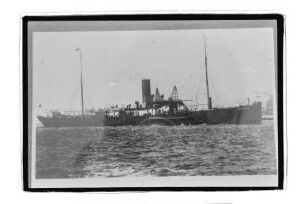 Phoebus (1923), BAPICO.- Baltische-Amerikanische Petroleum Import GmbH, Danzig
