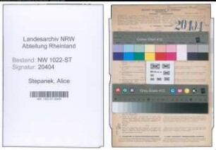 Entnazifizierung Alice Stepanek , geb. 31.01.1910 (Krankenschwester)