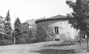 Steina. Holländermühle, Stumpf