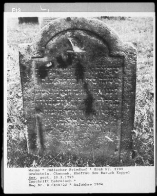 Grabstein der Channah, Ehefrau des Baruch Koppel Enz (gestorben 1793.02.20)