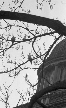 Winterstimmung.