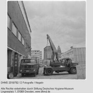 Verladen einer Gläsernen Kuh zum Transport nach Mexiko