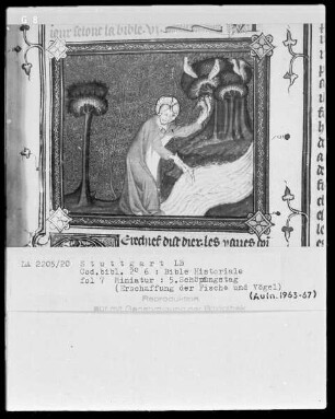 Bible Historiale — Fünfter Schöpfungstag - Erschaffung der Vögel und Fische, Folio 7recto