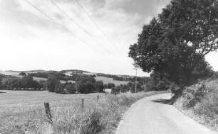 Weißenberg-Nostitz-Grube. Blick ins Tal des Löbauer Wassers