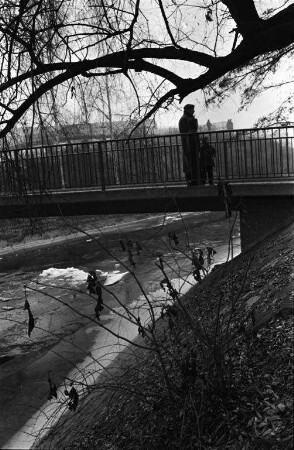 Alb im Winter.