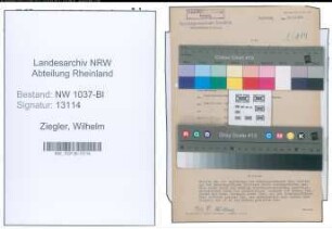 Entnazifizierung Wilhelm Ziegler , geb. 08.05.1909 (Betriebsfuehrer)