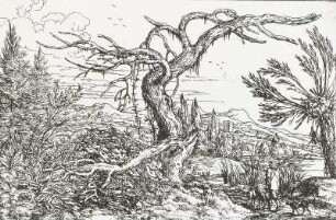 Landschaft mit kahlem Baum