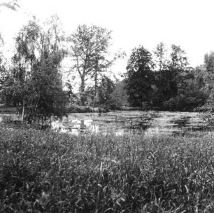 Schorbus. Gutspark (1847; H. Hildebrand). Partie mit Teich