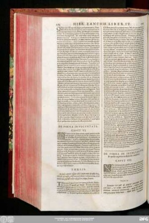 De Poena In Voluntate. Caput VI.