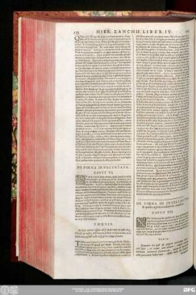 De Poena In Voluntate. Caput VI.