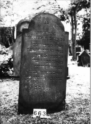 Grabstein 663 (Index: 99630165) Material: Sandstein Zustand: leicht verwittert Maße HxBxT: 136x64x6 cm Beschreibung: Stele mit eingezogenem Rundbogenabschluß: Grabstein 663