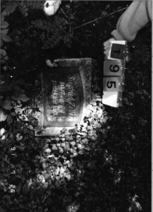Grabstein 195