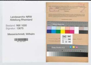 Entnazifizierung Wilhelm Messerschmidt, geb. 20.02.1908 (Werkmeister)