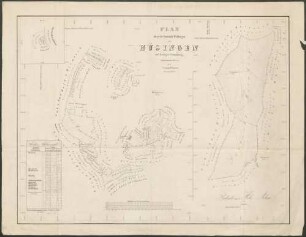 Plan über den Gemeinde-Wald von Hüsingen auf dortiger Gemarkung